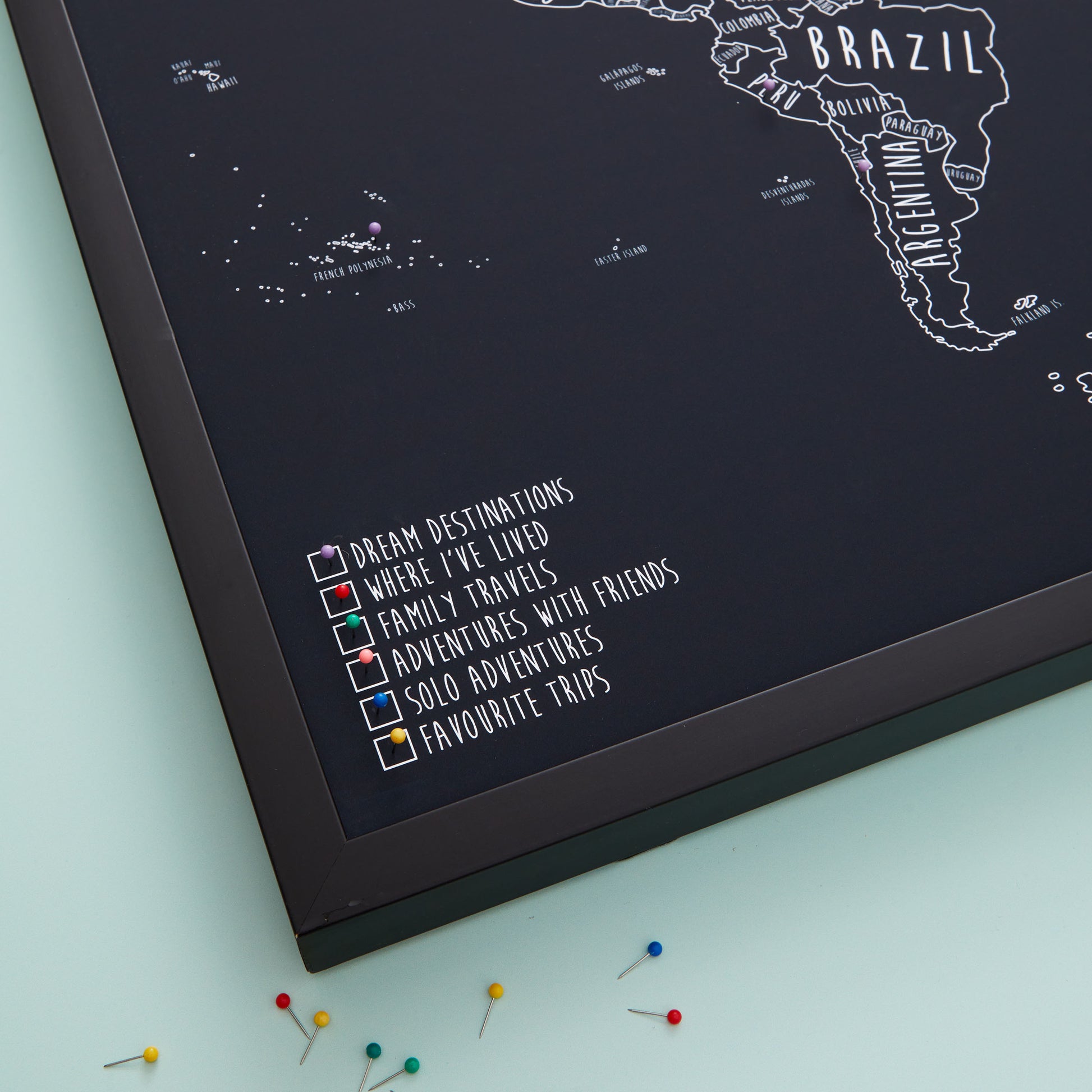 The Detailed World Pinboard Map