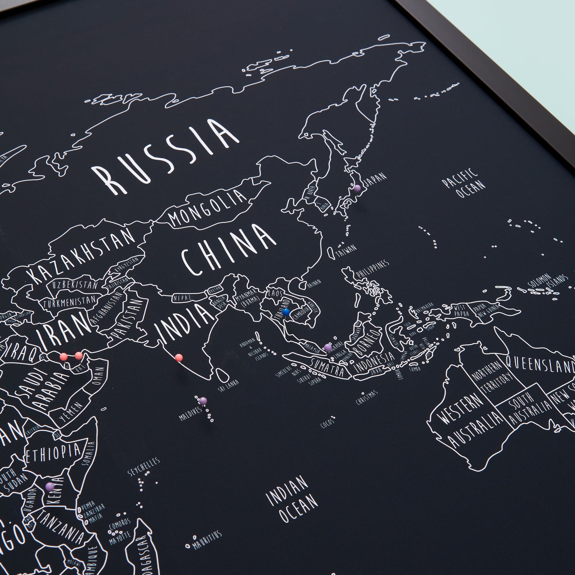 The Detailed World Pinboard Map