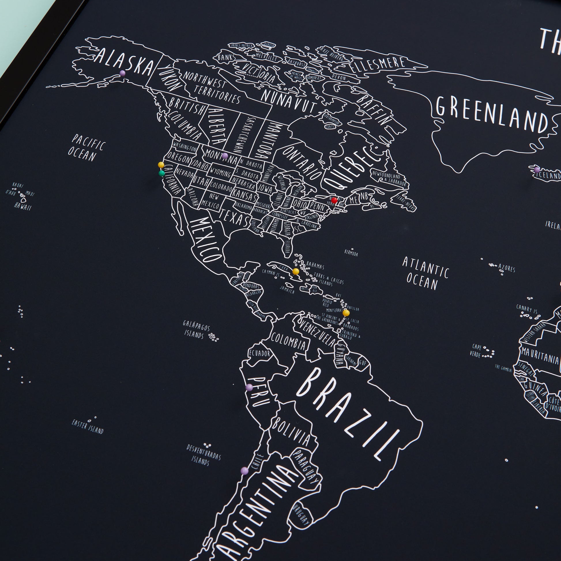 The Detailed World Pinboard Map