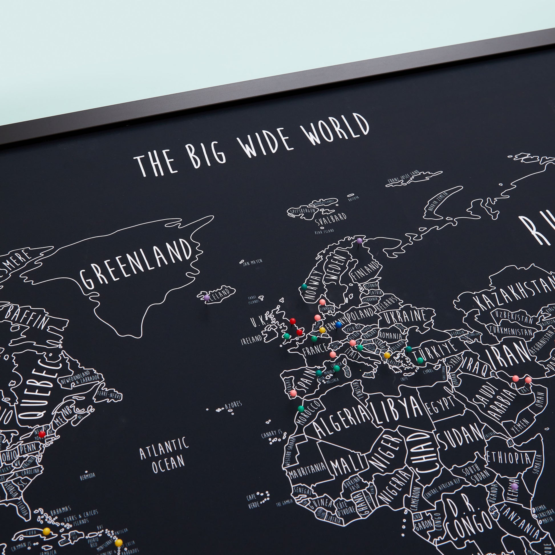 The Detailed World Pinboard Map