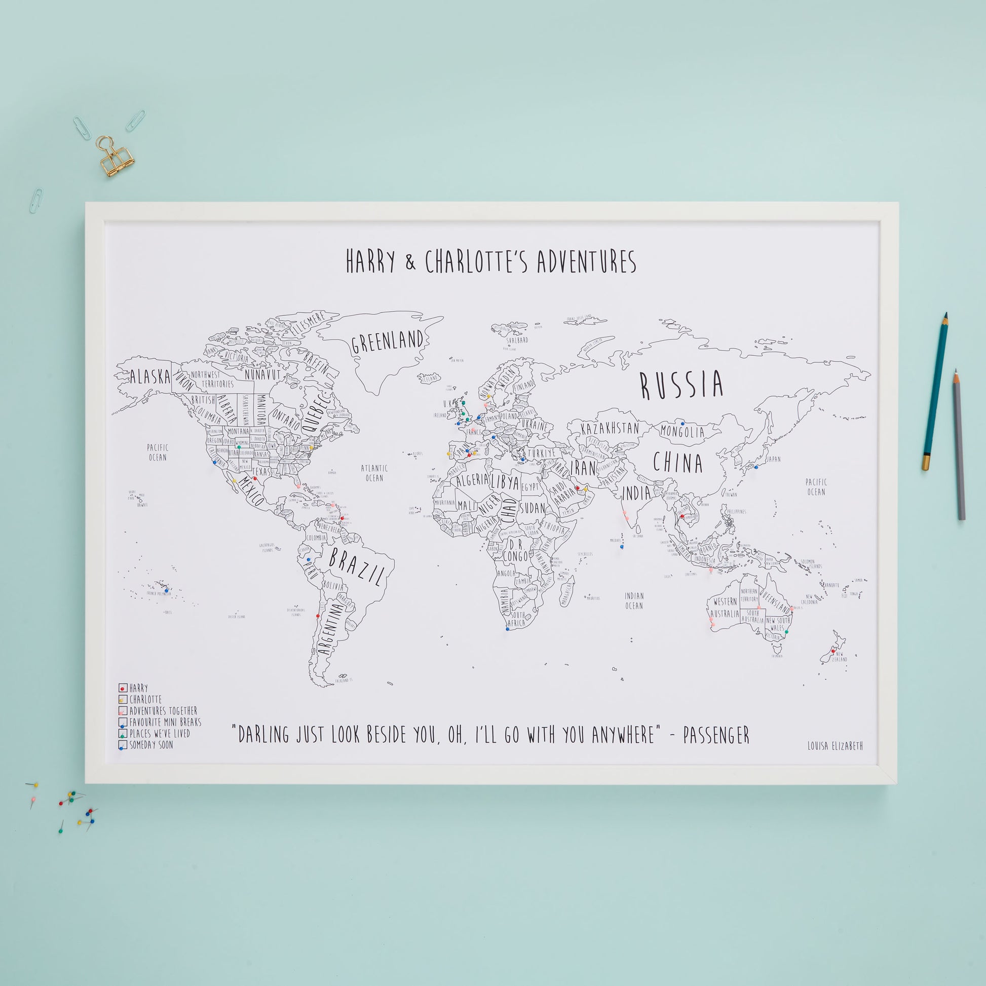 The Detailed World Pinboard Map