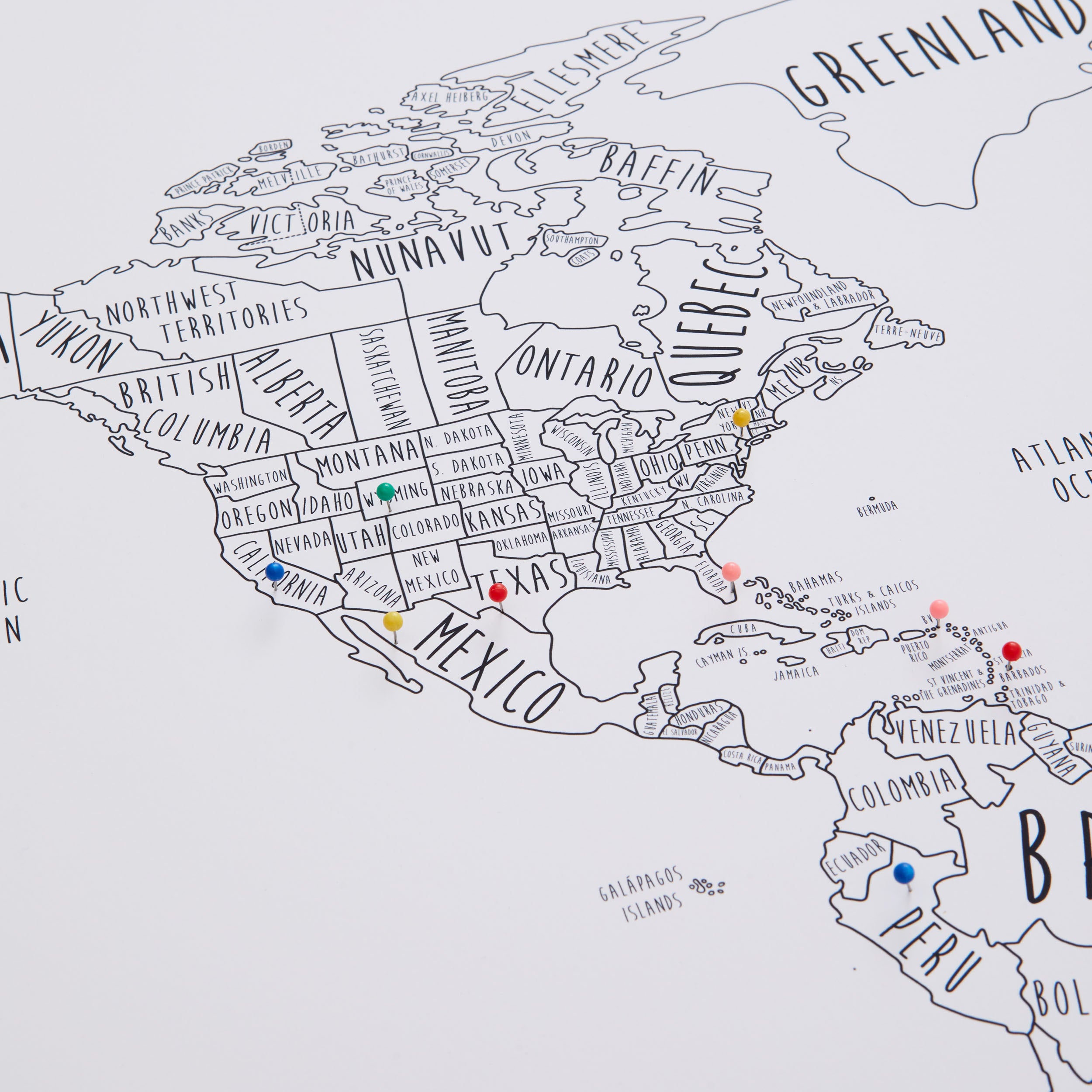 The Detailed World Pinboard Map