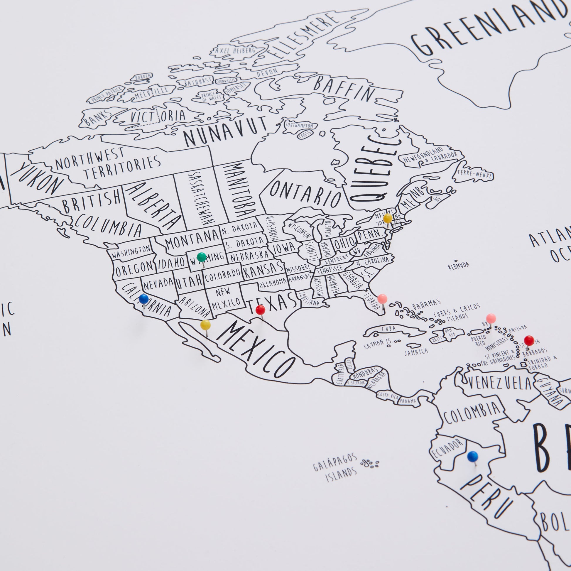The Detailed World Pinboard Map
