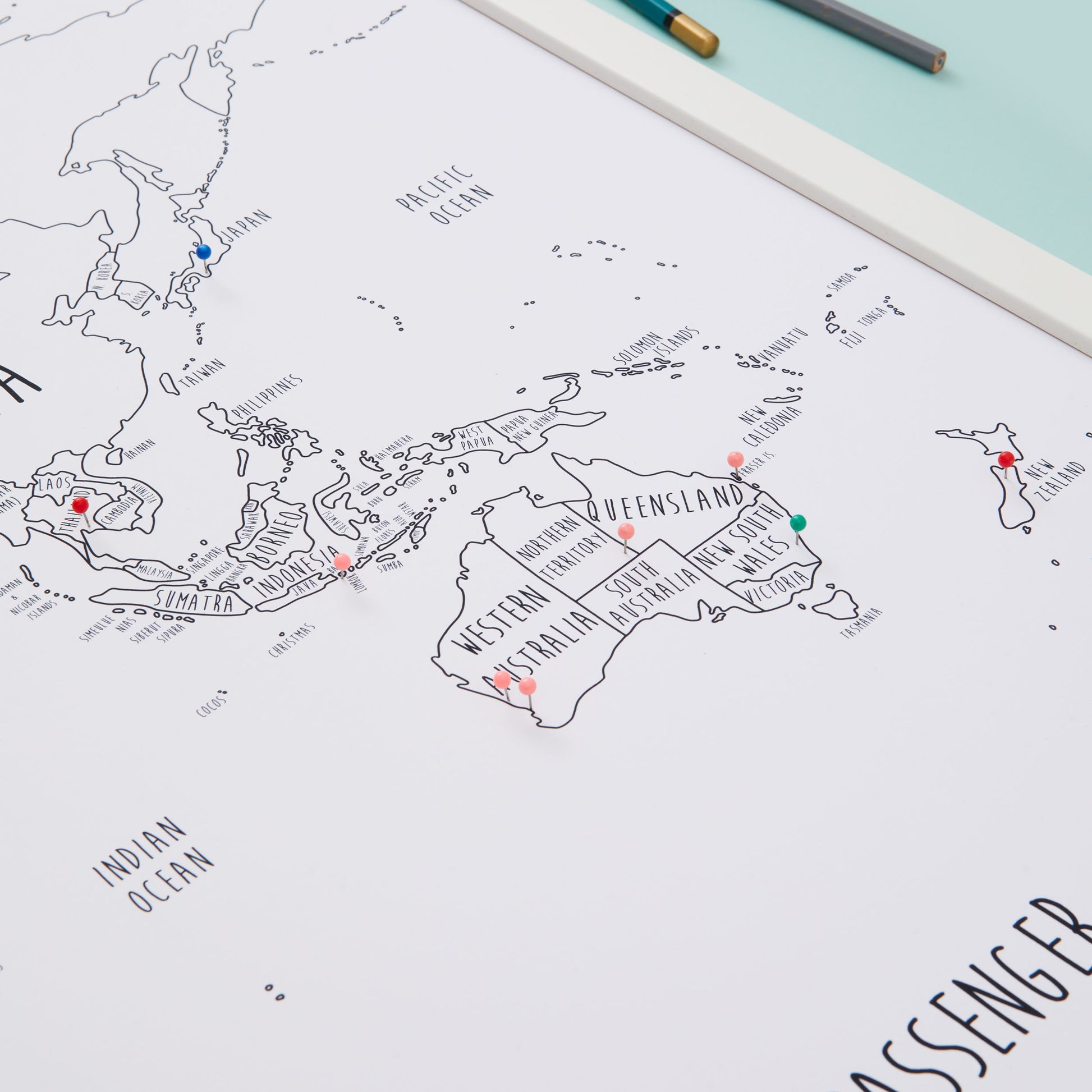 The Detailed World Pinboard Map