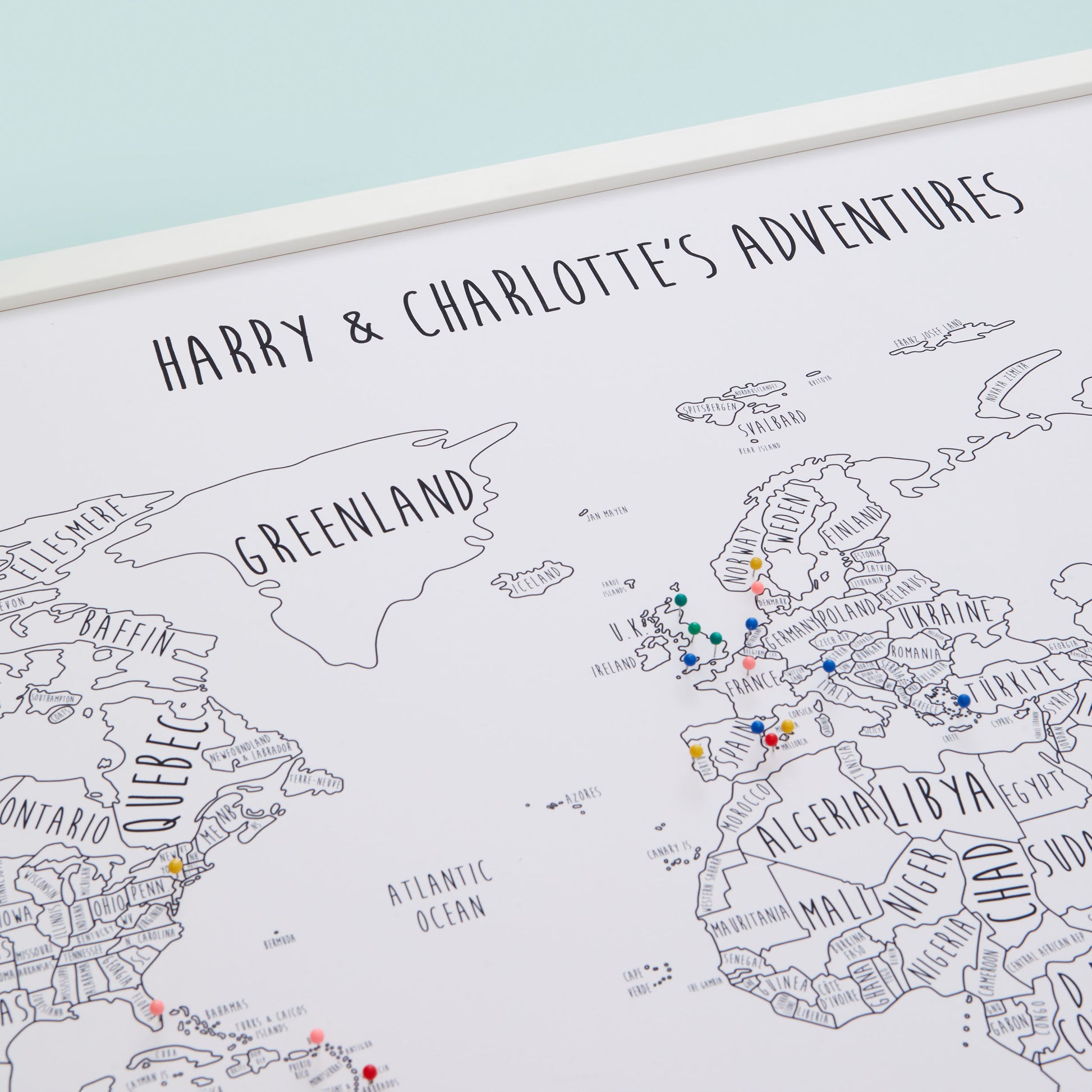 The Detailed World Pinboard Map