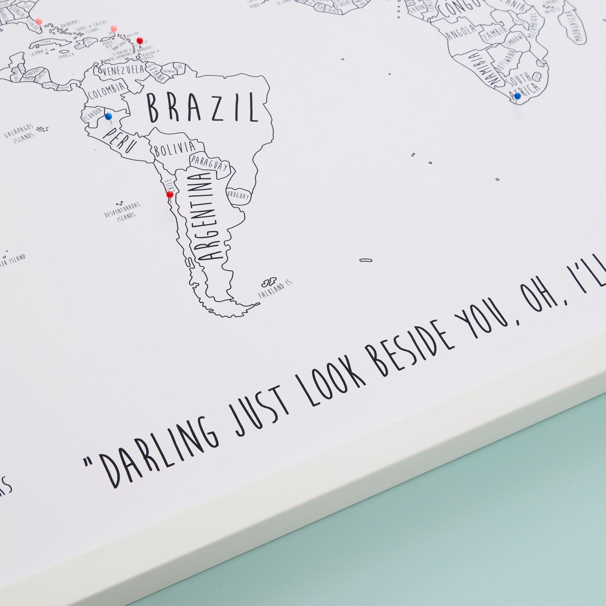 The Detailed World Pinboard Map