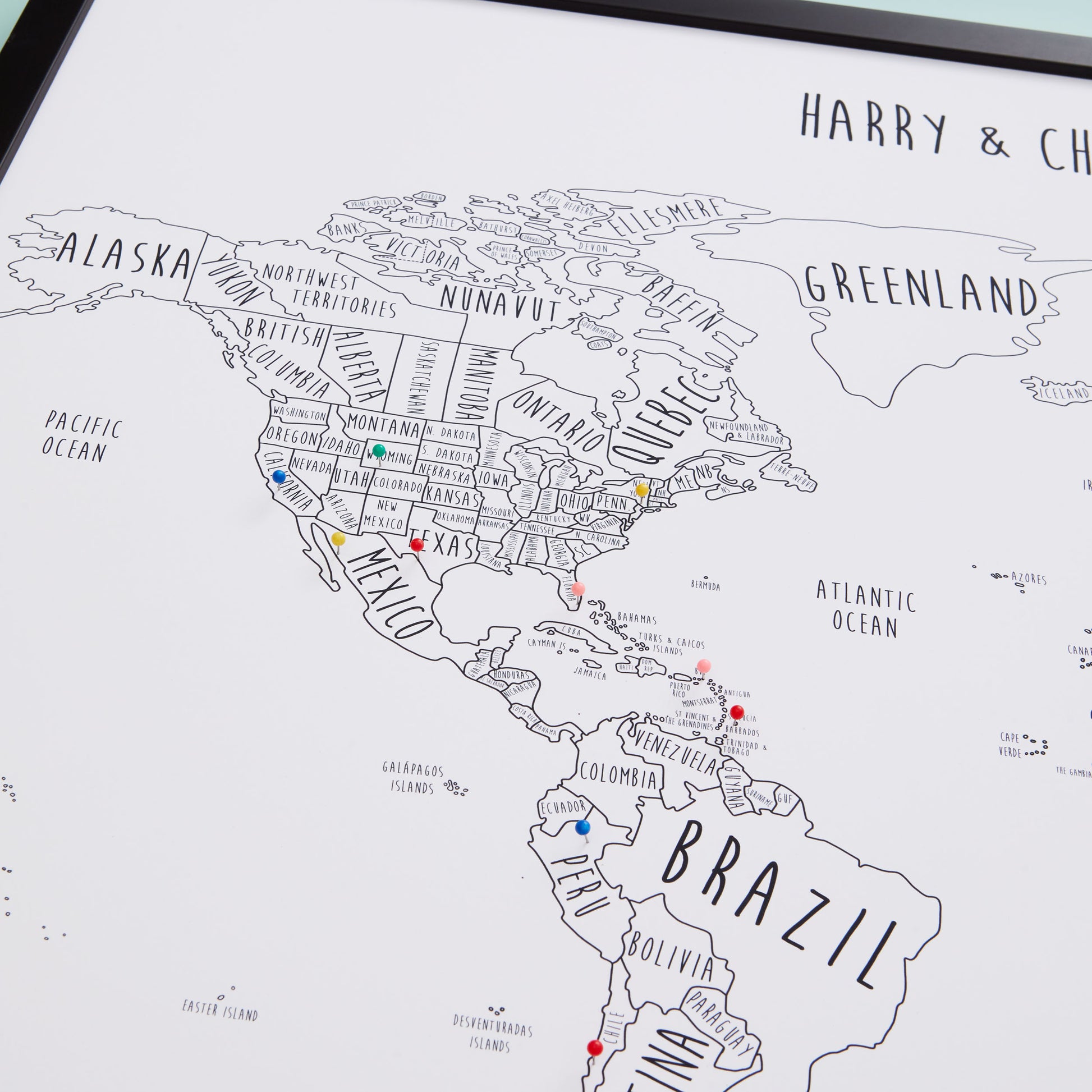 The Detailed World Pinboard Map