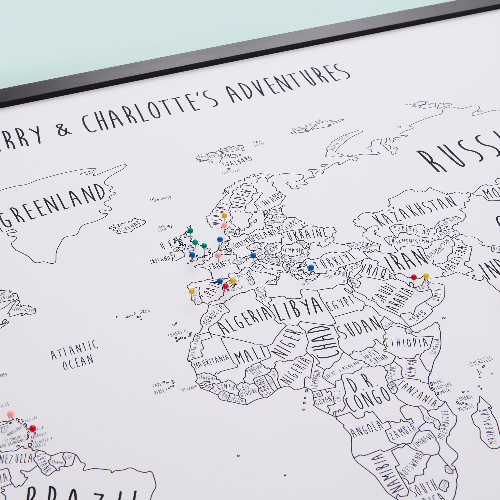 The Detailed World Pinboard Map