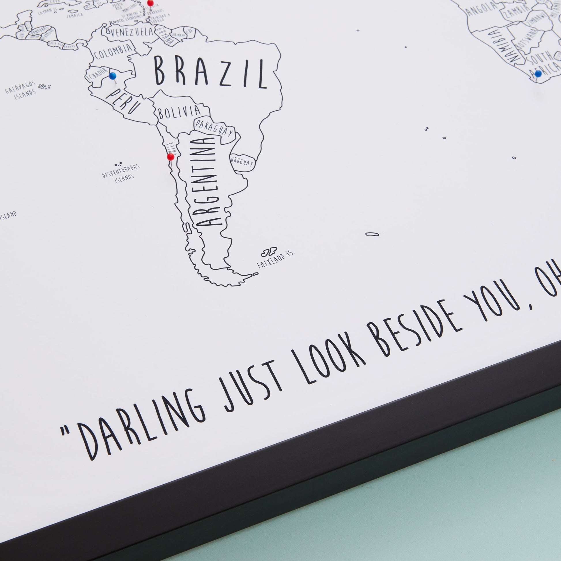 The Detailed World Pinboard Map