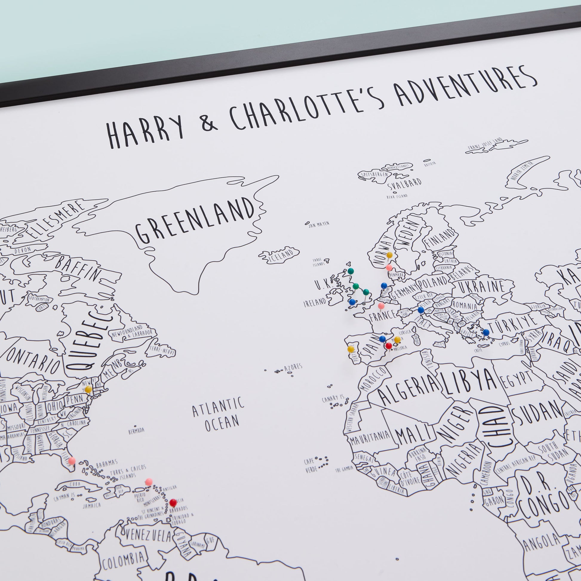 The Detailed World Pinboard Map