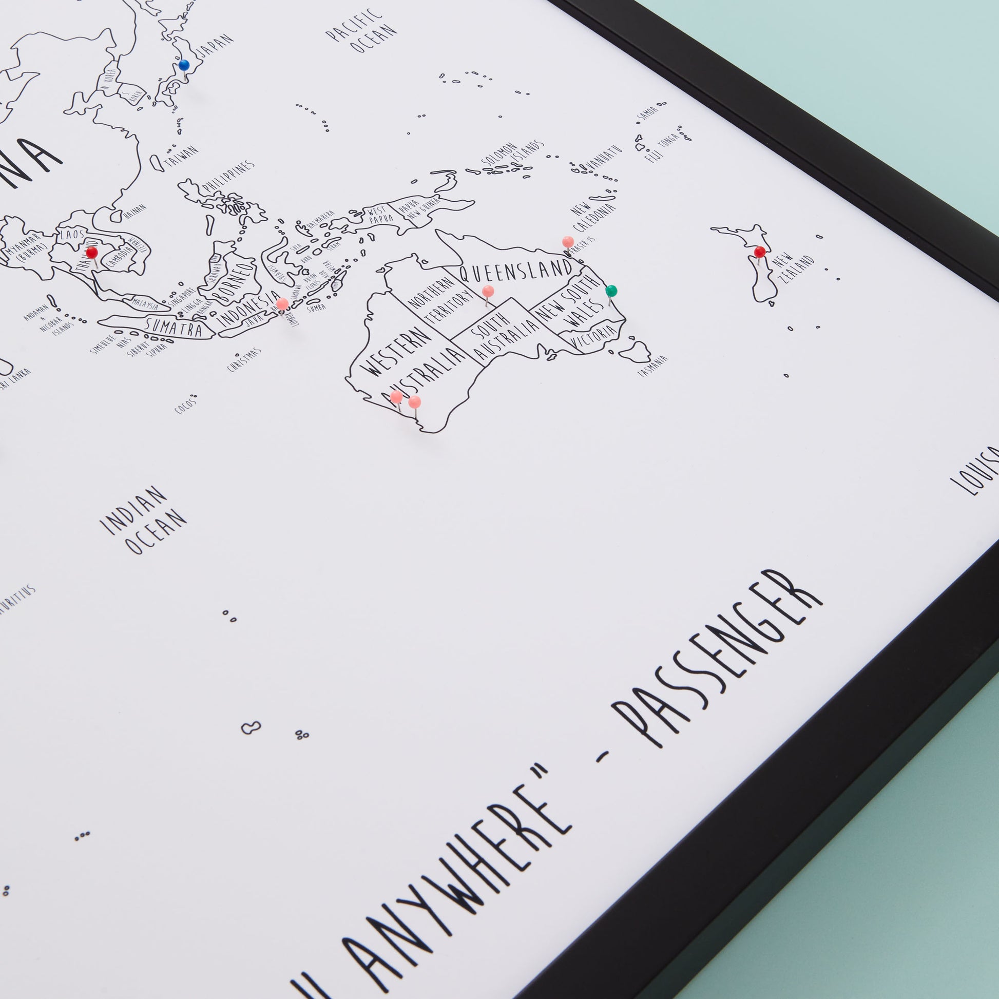 The Detailed World Pinboard Map