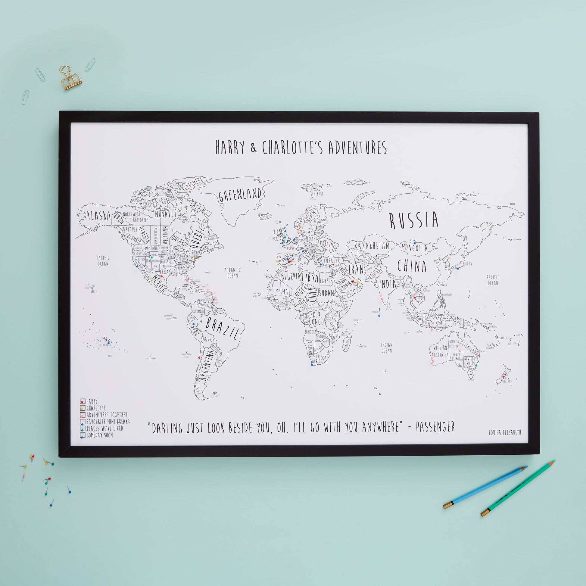 The Detailed World Pinboard Map