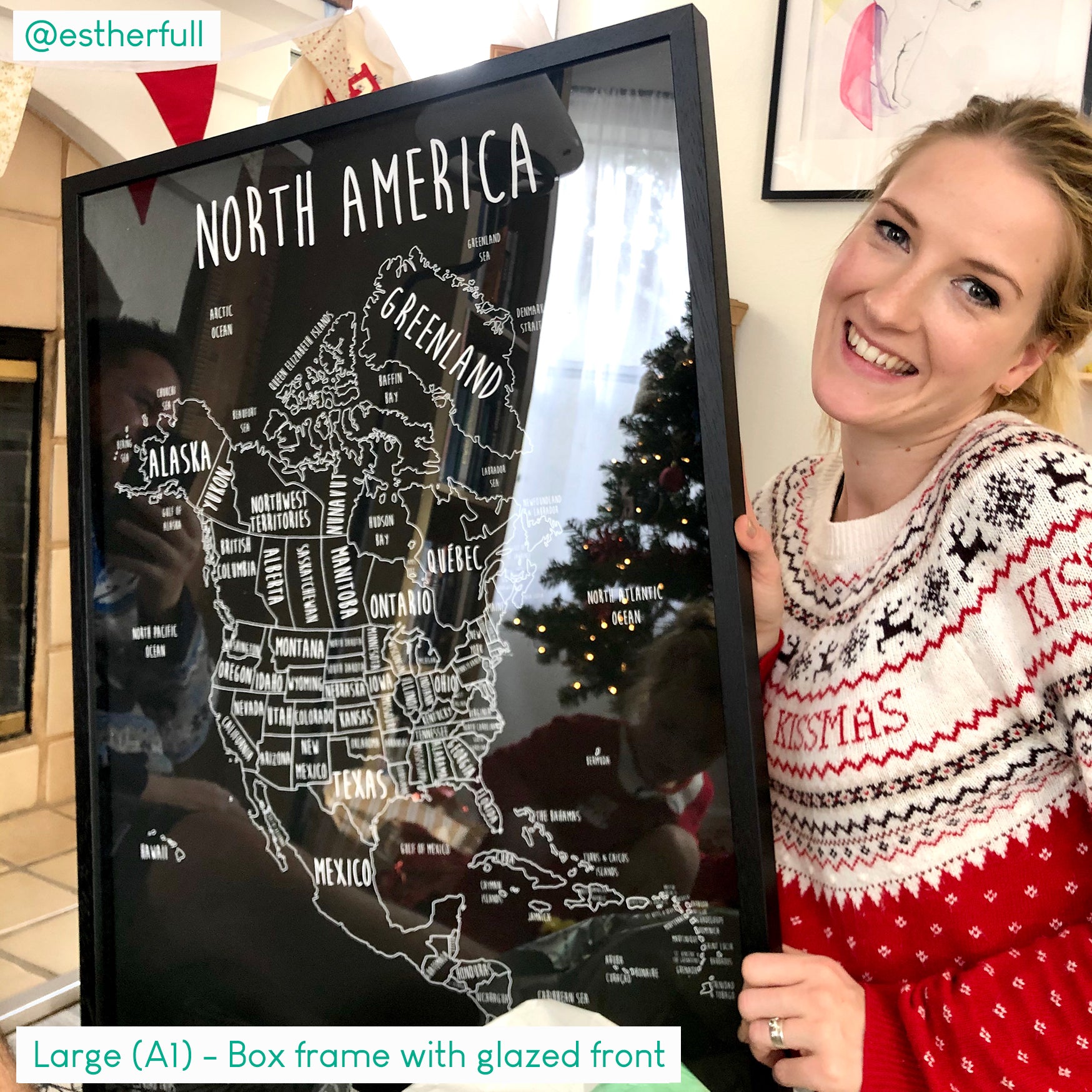 North America Pinboard Map
